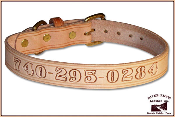 Dog Collars